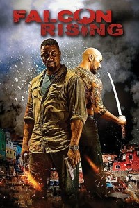 Download Falcon Rising (2014) Dual Audio (Hindi-English) 480p [300MB] || 720p [800MB]