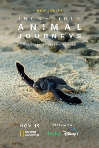 Download Incredible Animal Journeys (Season 1) [S01E02 Added] Dual Audio (Hindi-English) WeB-DL 720p [400MB] || 1080p [1.1GB]