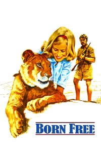 Download Born Free (1966) Dual Audio (Hindi-English) Bluray 480p [310MB] || 720p [850MB] || 1080p [1.83GB]