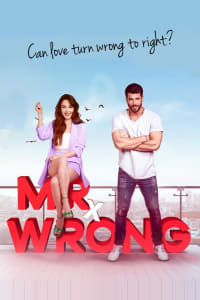 Download Mr. Wrong Season 1 [E22 Added] (Hindi Audio) Web-Dl 720p [280MB] || 1080p [800MB]