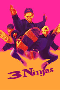 Download 3 Ninjas (1992) Dual Audio {Hindi-English} Esubs BluRay 480p [374MB] || 720p [864MB] || 1080p [1.8GB]