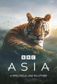 Download Asia (Season 1) (English Audio) Esubs Web-Dl 720p [480MB] || 1080p [2.5GB]